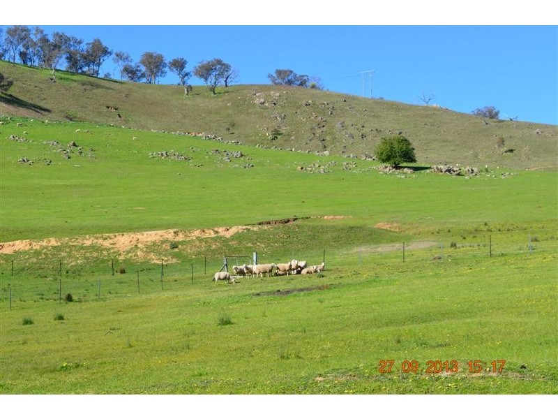 7 Ryans Road, Adelong NSW 2729