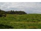 - Cemetery Road, Batlow NSW 2730