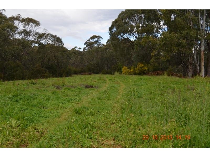 71 Forest Road, Batlow NSW 2730