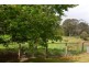 71 Forest Road, Batlow NSW 2730