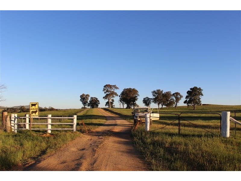 - ETHAM PARK 511 Ellerslie Road, Adelong NSW 2729