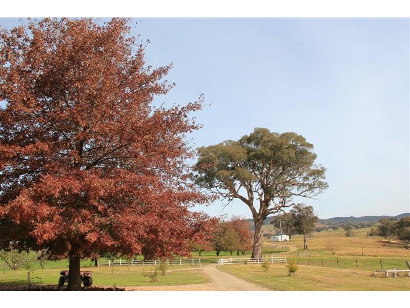 - ETHAM PARK 511 Ellerslie Road, Adelong NSW 2729