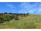Lots 1 and Lot 5 Argalong Road, Tumut NSW 2720