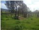 623 Tumut Plains Road, Tumut NSW 2720