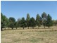 Lot 11 Selwyn Street, Adelong NSW 2729
