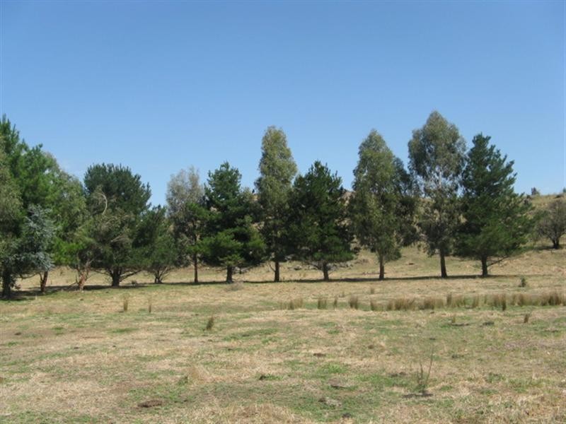 Lot 11 Selwyn Street, Adelong NSW 2729
