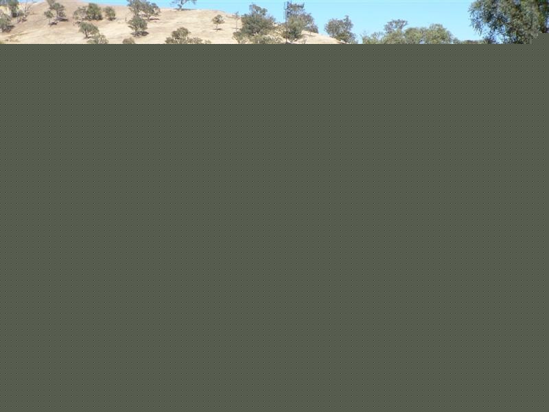 486 Goobarragandra Road, Tumut NSW 2720