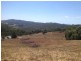 Lot 1 Peels Creek Road, Batlow NSW 2730