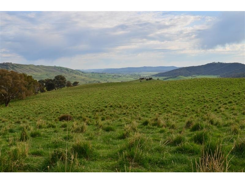 . Yaven Creek, Adelong NSW 2729