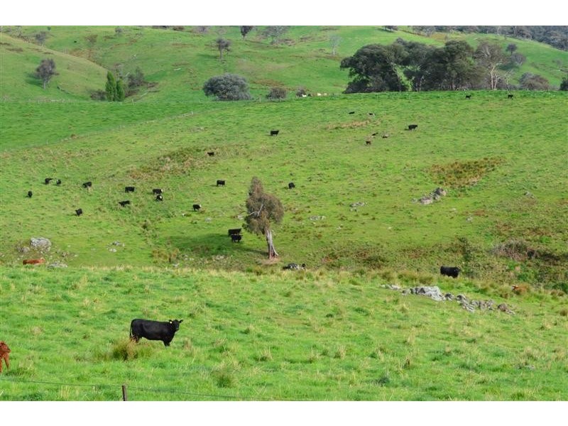 . Yaven Creek, Adelong NSW 2729