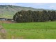 . Yaven Creek, Adelong NSW 2729