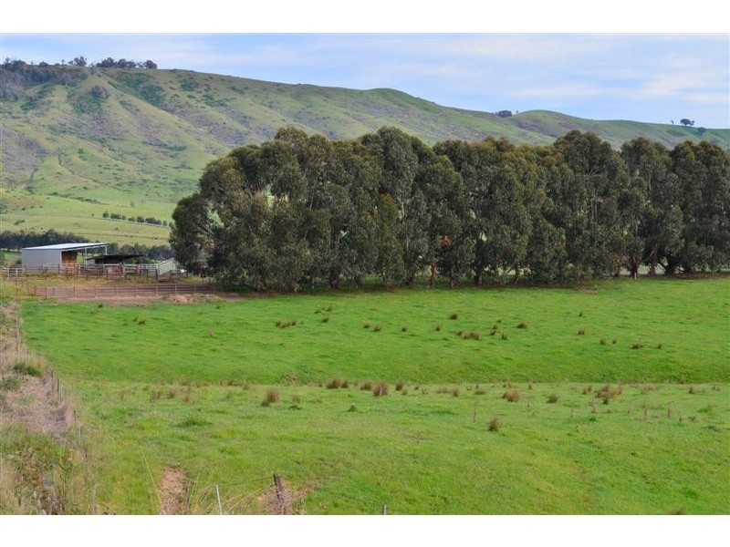 . Yaven Creek, Adelong NSW 2729