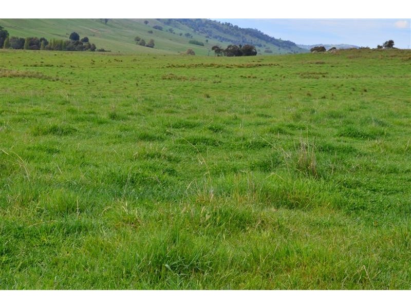 . Yaven Creek, Adelong NSW 2729