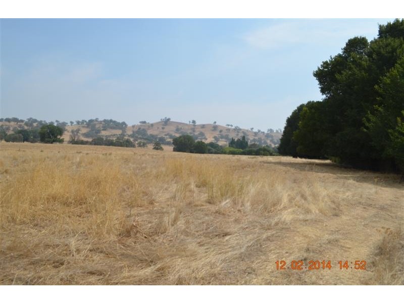 431 Bombowlee Creek Road, Tumut NSW 2720