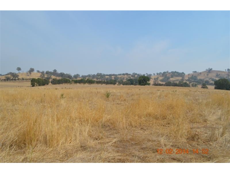 431 Bombowlee Creek Road, Tumut NSW 2720