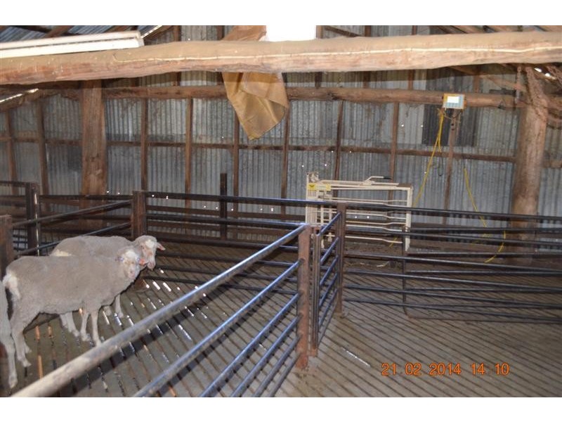 605 Wondalga Road, Adelong NSW 2729