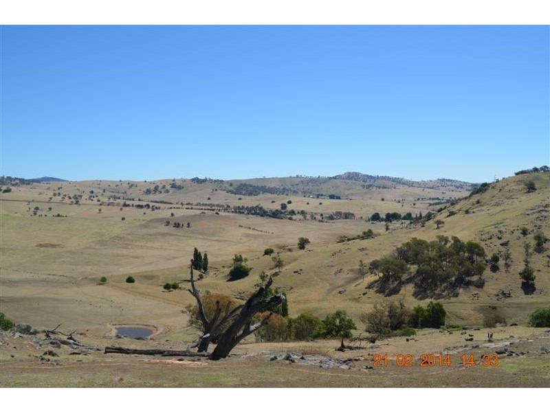 605 Wondalga Road, Adelong NSW 2729