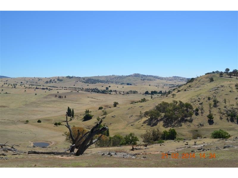 605 Wondalga Road, Adelong NSW 2729