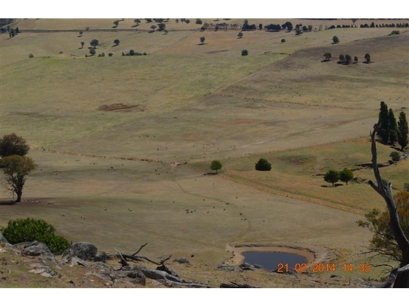 605 Wondalga Road, Adelong NSW 2729