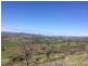 Lot 1 Back Sandy Gully Road, Adelong NSW 2729