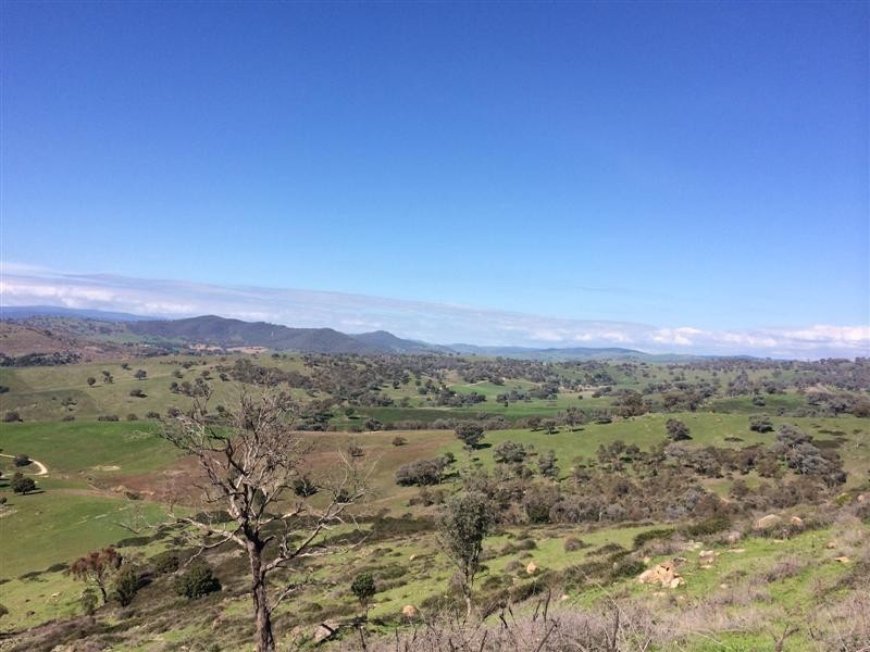 Lot 1 Back Sandy Gully Road, Adelong NSW 2729