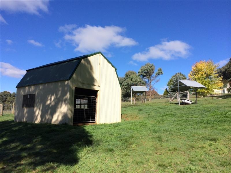 573 Back Kunama Road, Batlow NSW 2730