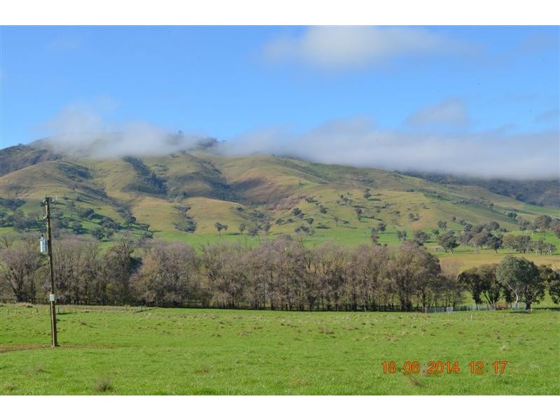 Lot 202 Argalong Road, Tumut NSW 2720