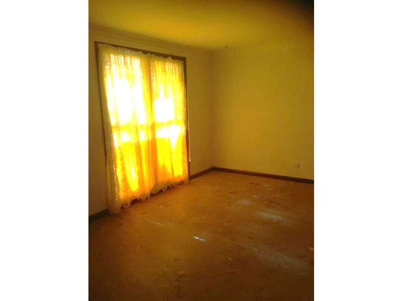 97 Mayday Road, Batlow NSW 2730