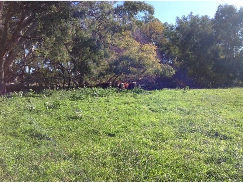 127 Little River Road, Tumut NSW 2720