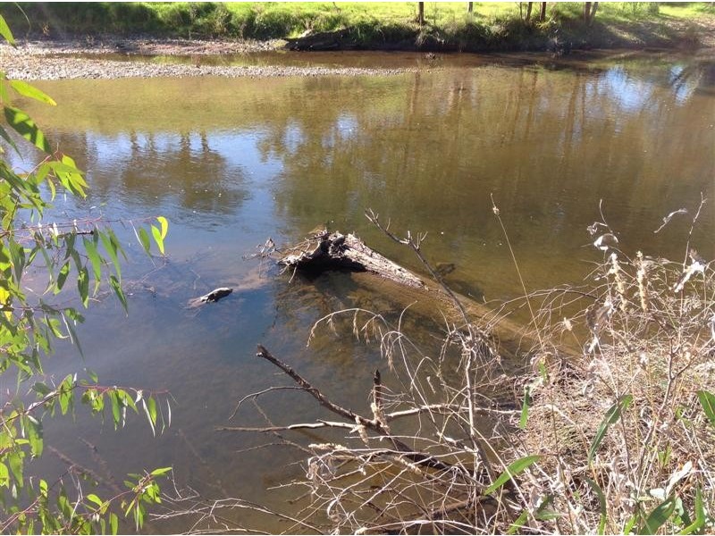 127 Little River Road, Tumut NSW 2720