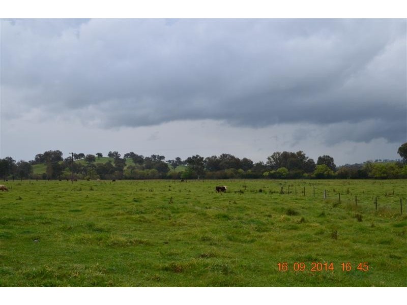 127 Little River Road, Tumut NSW 2720