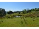 Lot 1 Batlow Road, Batlow NSW 2730