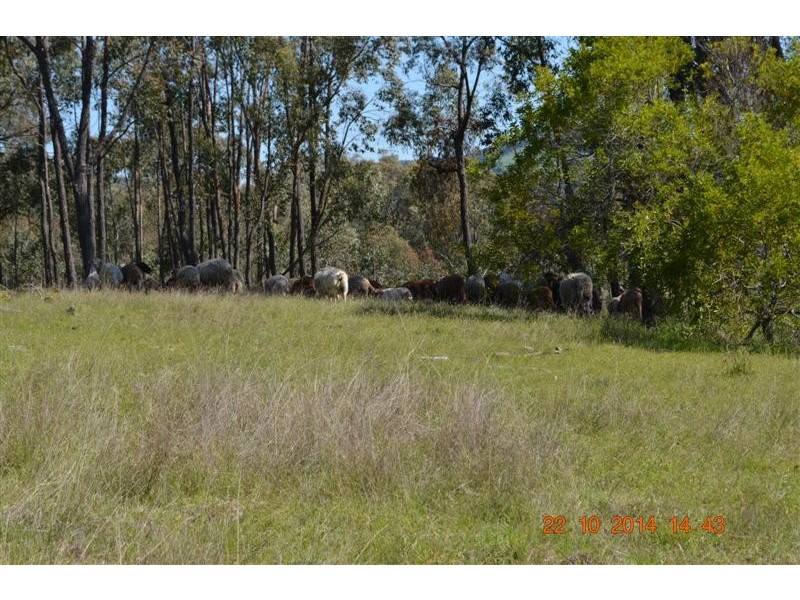 Lot 1 Batlow Road, Batlow NSW 2730