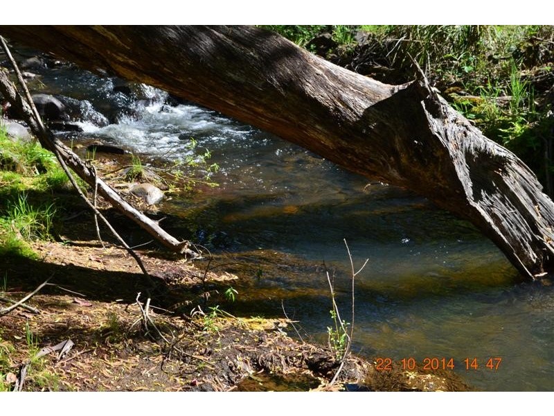Lot 1 Batlow Road, Batlow NSW 2730