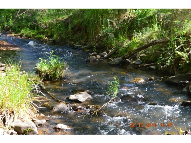 Lot 1 Batlow Road, Batlow NSW 2730