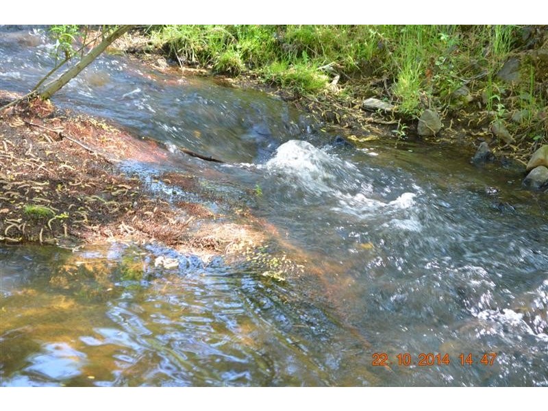 Lot 1 Batlow Road, Batlow NSW 2730