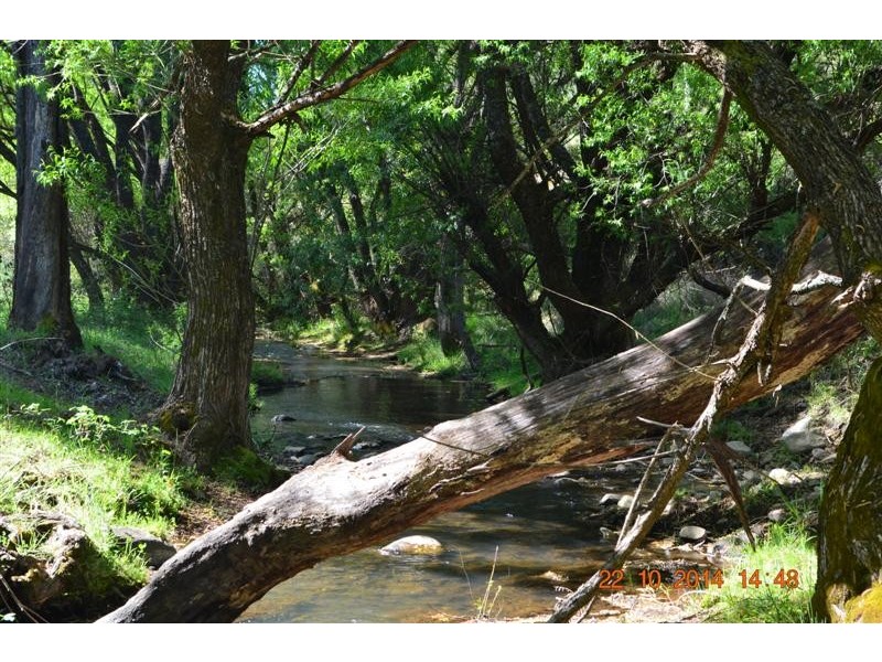 Lot 1 Batlow Road, Batlow NSW 2730