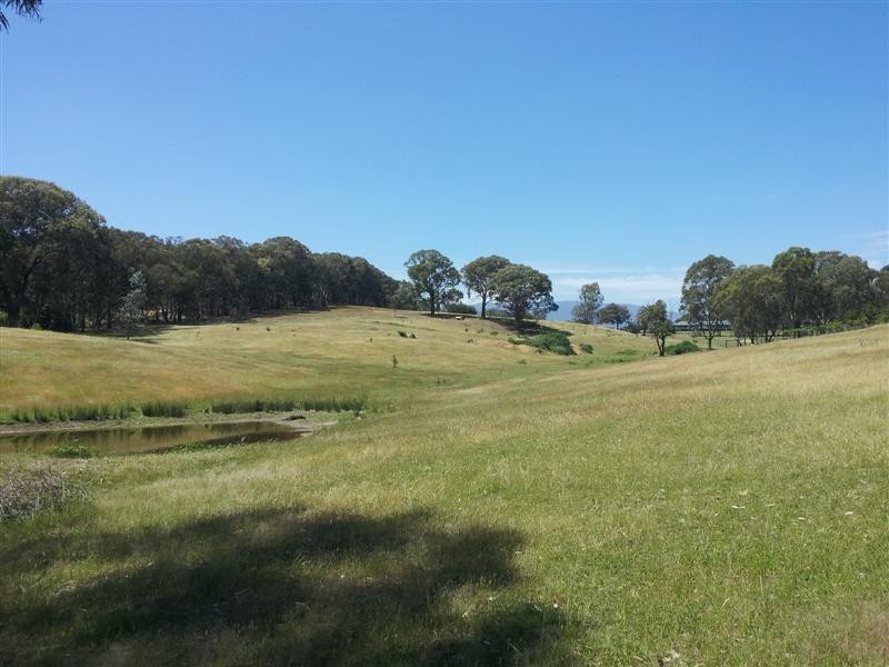 Lot 3 Quandong Avenue, Tumut NSW 2720