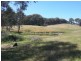Lot 3 Quandong Avenue, Tumut NSW 2720