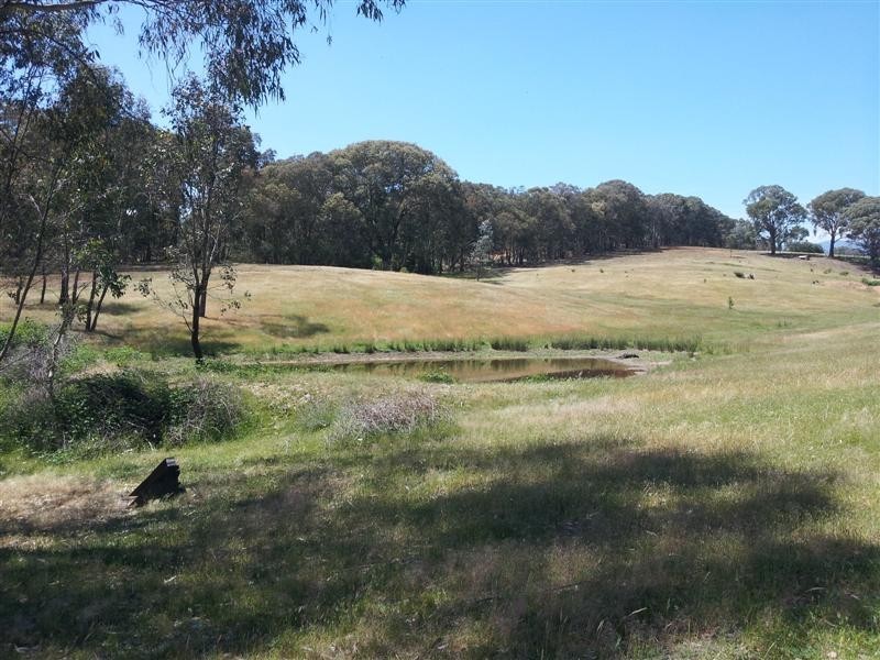 Lot 3 Quandong Avenue, Tumut NSW 2720