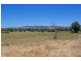 199 Brungle Road, Tumut NSW 2720