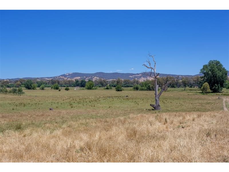 199 Brungle Road, Tumut NSW 2720