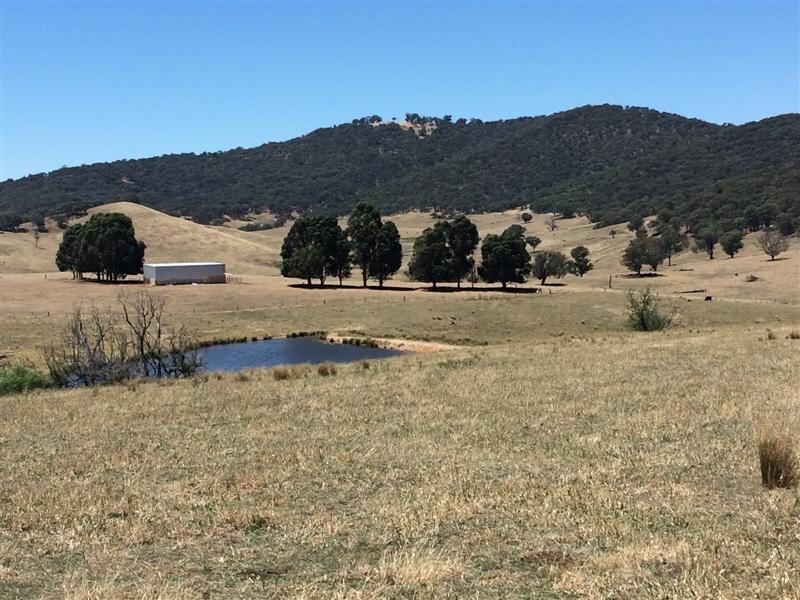 lot 8222 Yaven Creek Road, Adelong NSW 2729