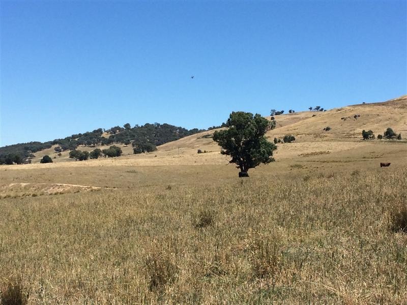 lot 8222 Yaven Creek Road, Adelong NSW 2729