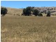 lot 8222 Yaven Creek Road, Adelong NSW 2729