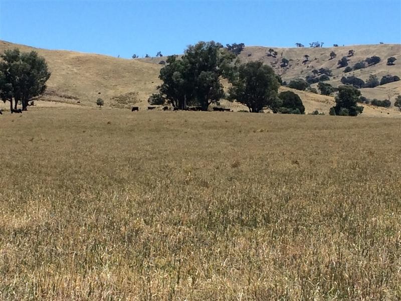 lot 8222 Yaven Creek Road, Adelong NSW 2729