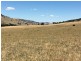lot 8222 Yaven Creek Road, Adelong NSW 2729