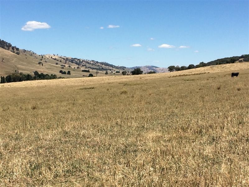 lot 8222 Yaven Creek Road, Adelong NSW 2729