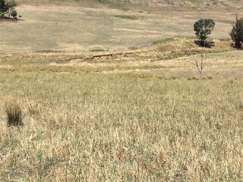 lot 8222 Yaven Creek Road, Adelong NSW 2729