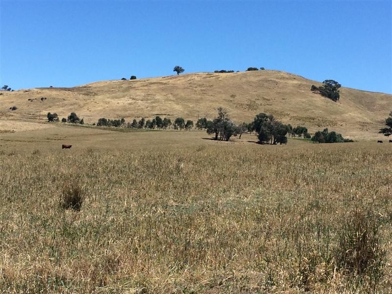 lot 8222 Yaven Creek Road, Adelong NSW 2729